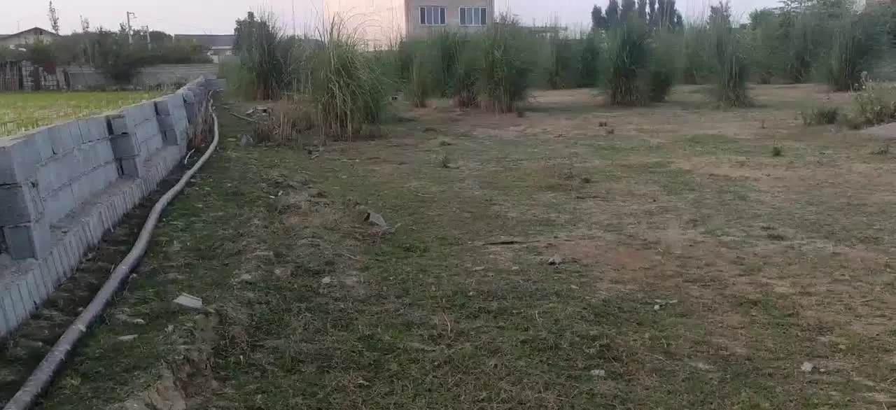 فروش زمین ۲۰۰۰ متری شمال. بهنمیر، نزدیک بابلسر