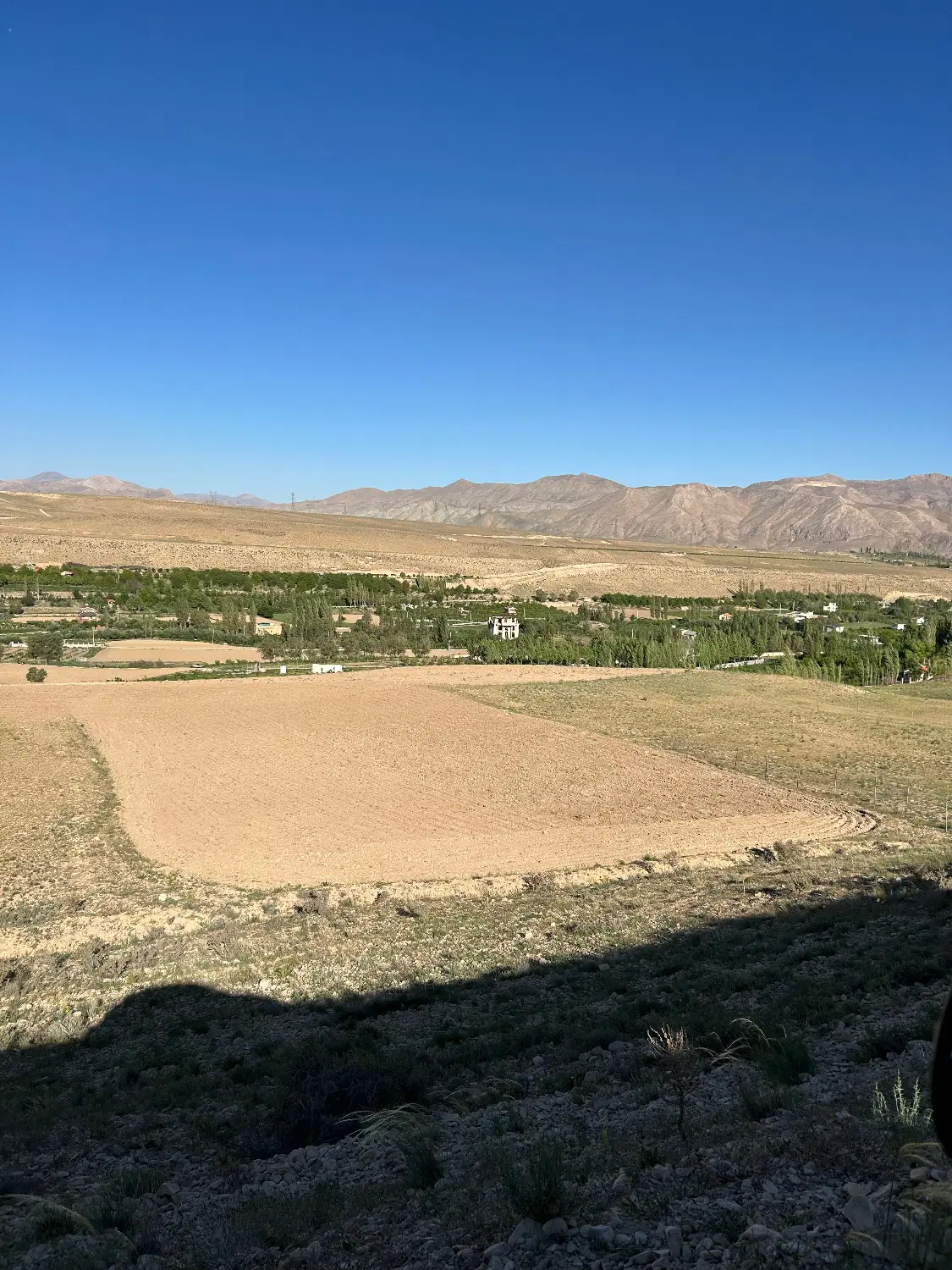 زمین. باغ