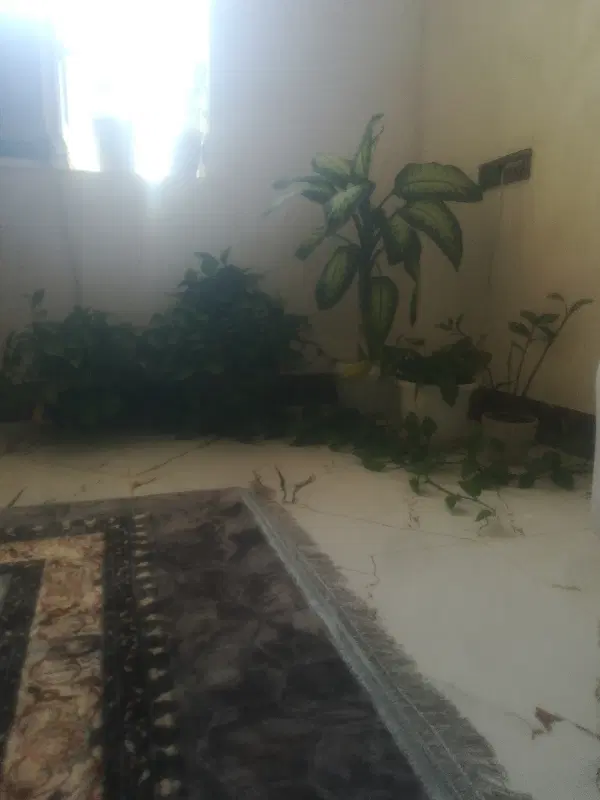 رهن واجاره منزل