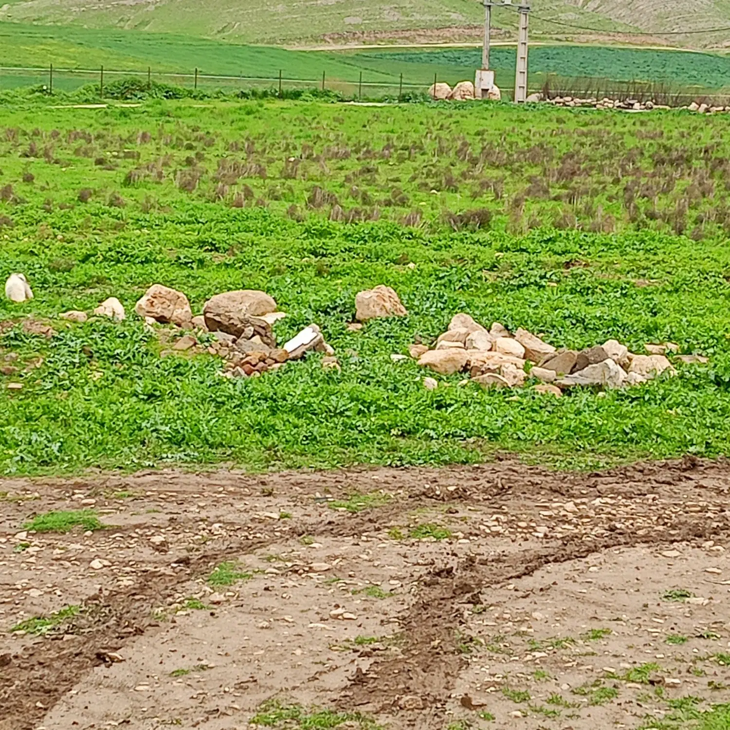 زمین مسکونی