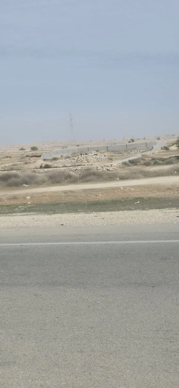 زمین باغی سر اتوبان گناوه به دیلم
