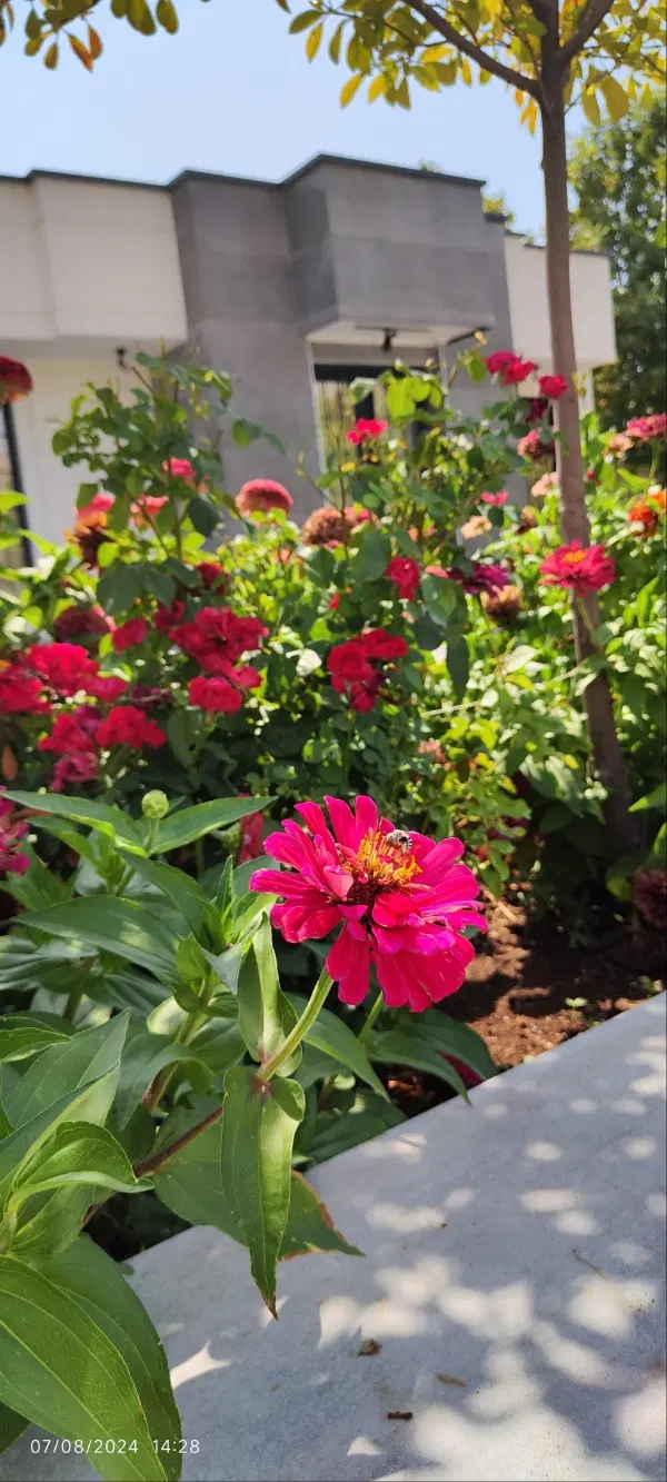 خانه فروشی صادقیه