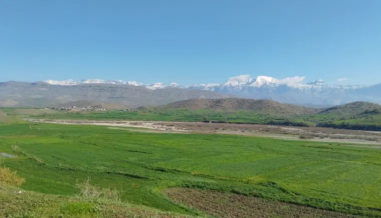 زمین تلوری
