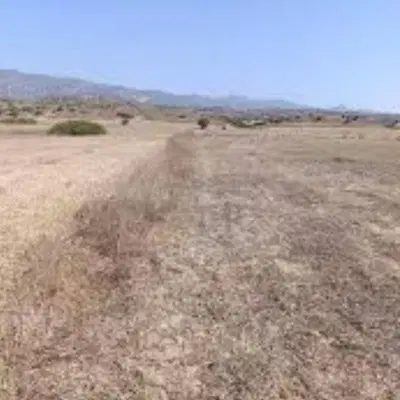 زمین بنیادی شکرآب با وام