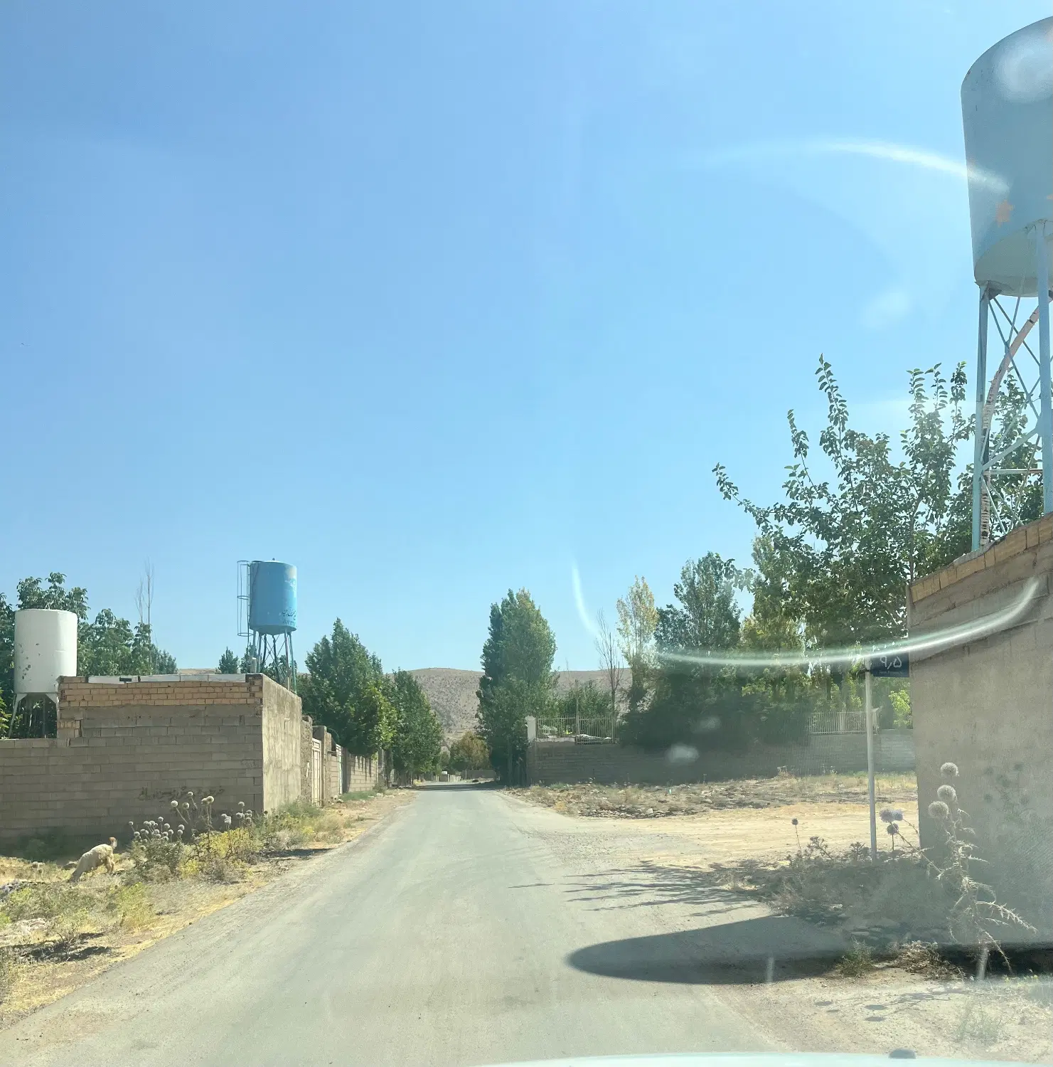 زمین باغشهری جاده صدرا