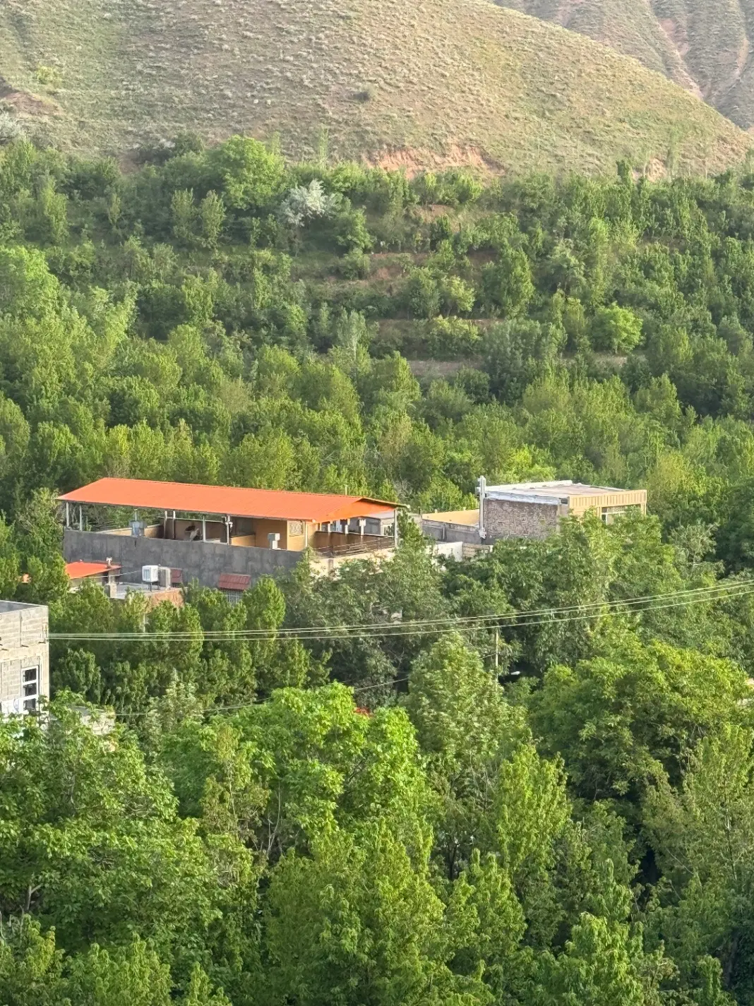 همخونه