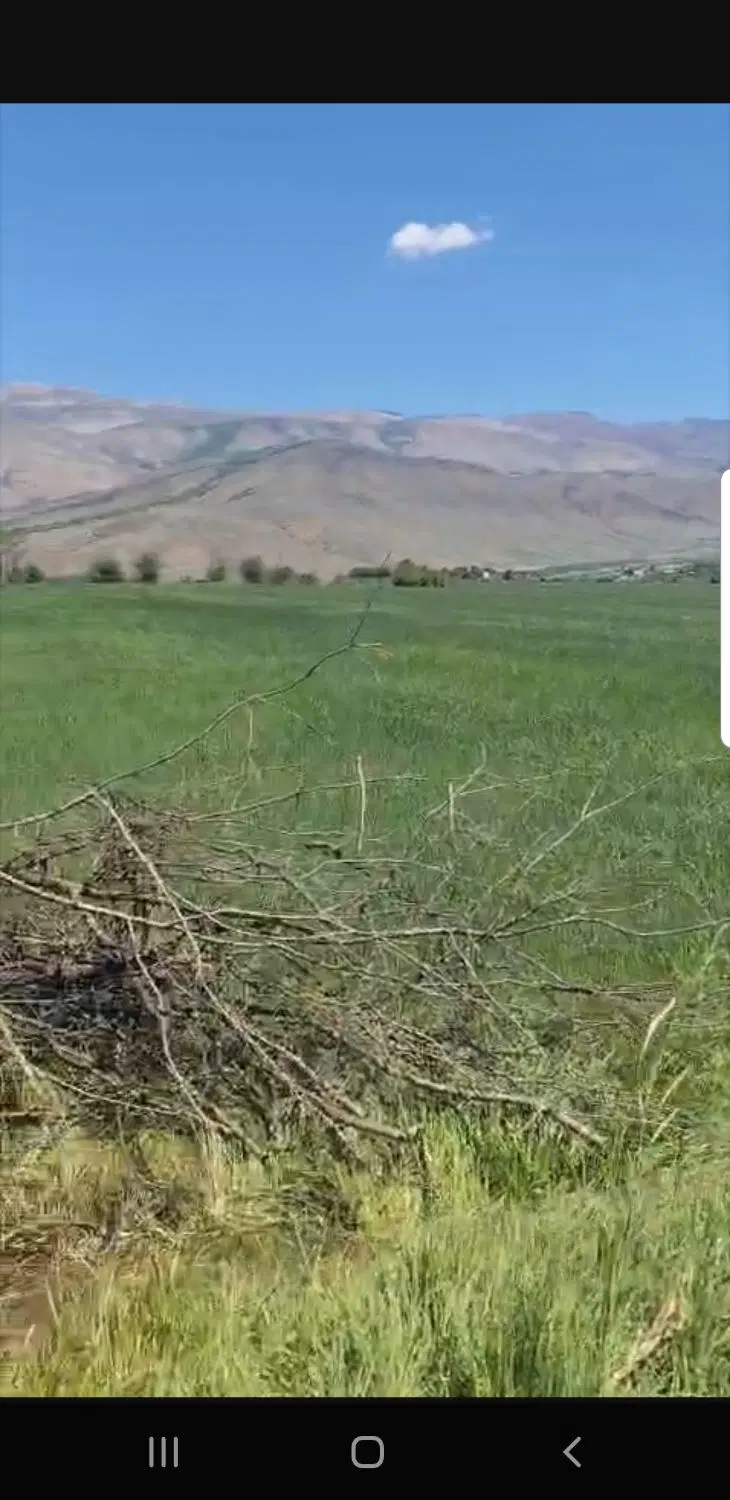 فروش زمین ۶ هزار متر در منطقه کجور نوشهر