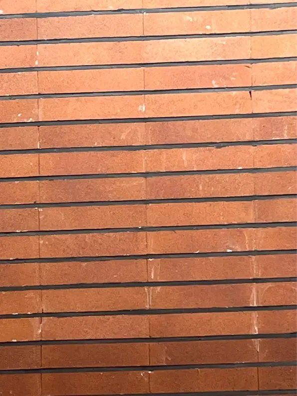 اجاره مغازه راسته اصلی ته لنجی