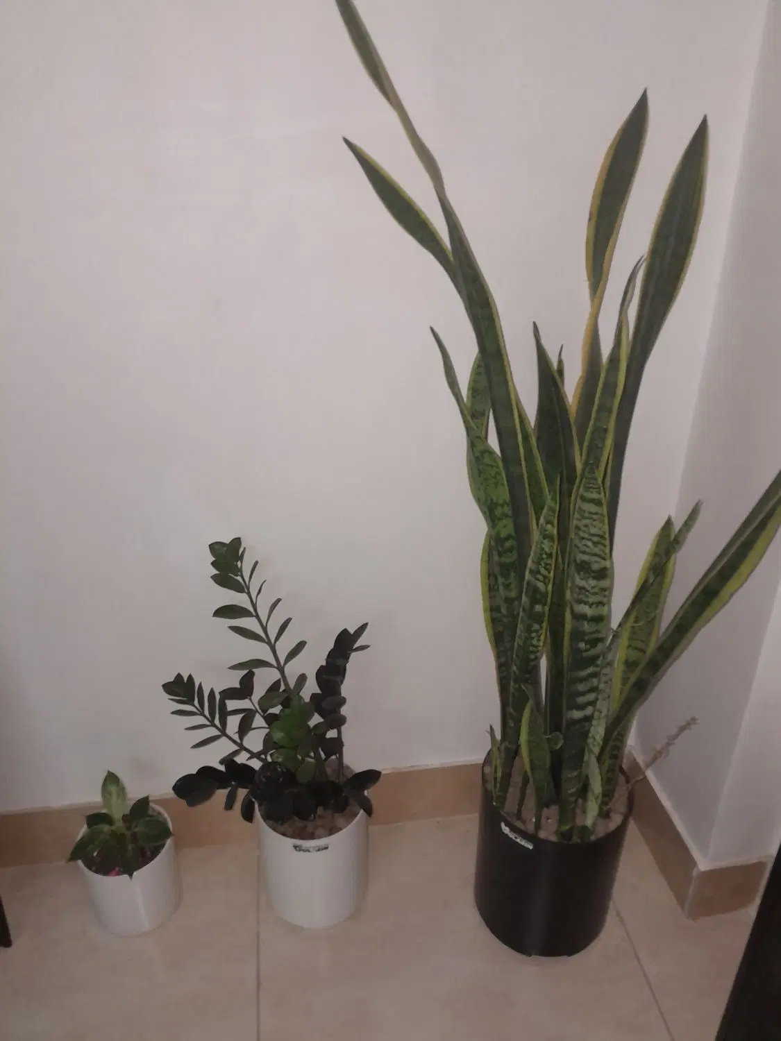 اجاره خانه ویلایی