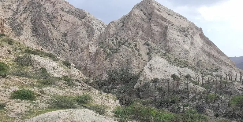 فروش زمین آبشورک، فرهنگیان فاز ۳ کنار شهرک دریا