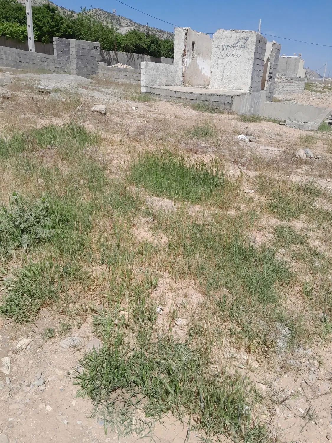 زمین مسکونی سرطاف روی به روی کلانتری