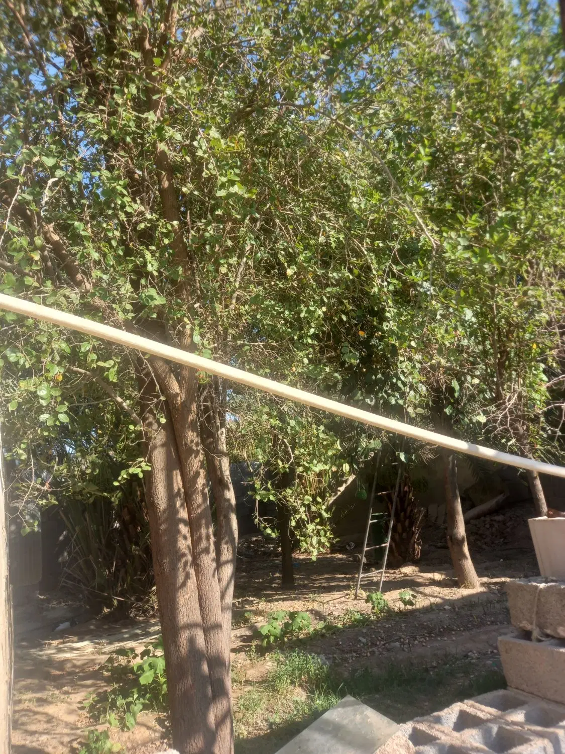 زمین مسکونی روستای اسیاب خرمنزار