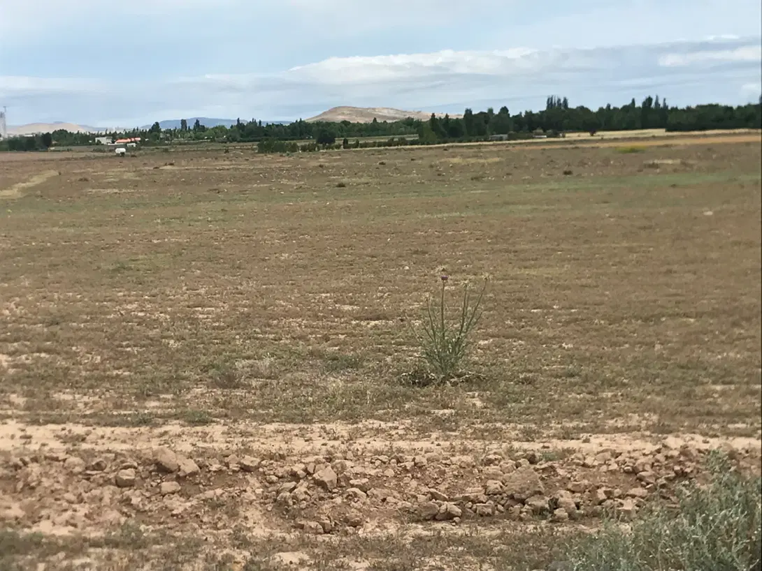 زمین زراعی مخصوص باغ ۳۰۰۰ متر