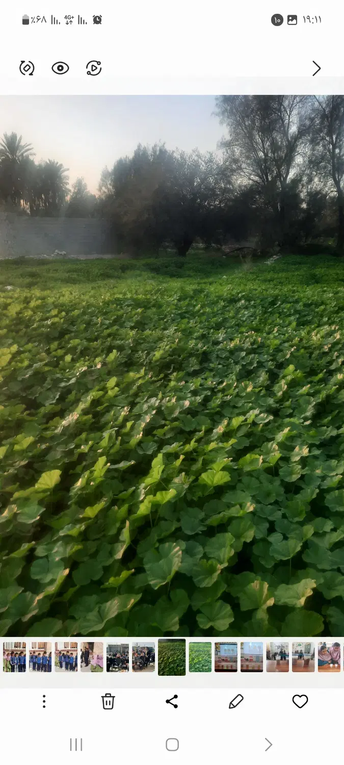 فروش زمین