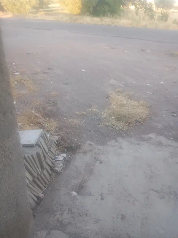 زمین مسکونی