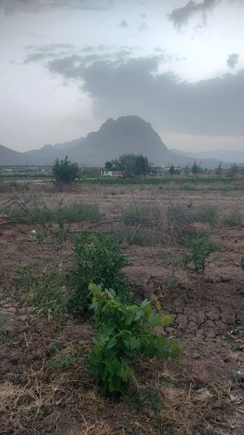 فروش