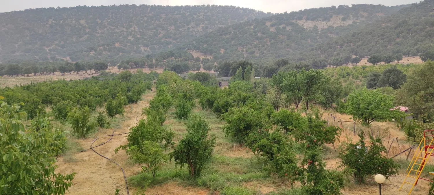 فروش باغ واقع در کوهمره سرخی