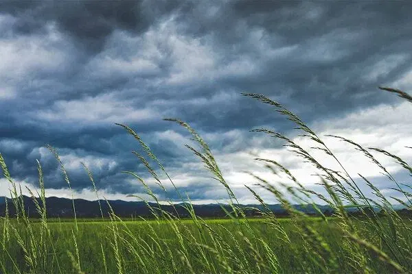 زمین، اراضی دهشیخ