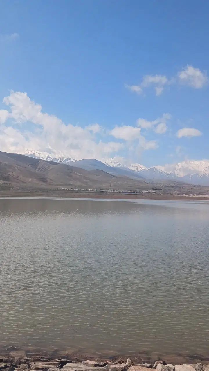 زمین دیم