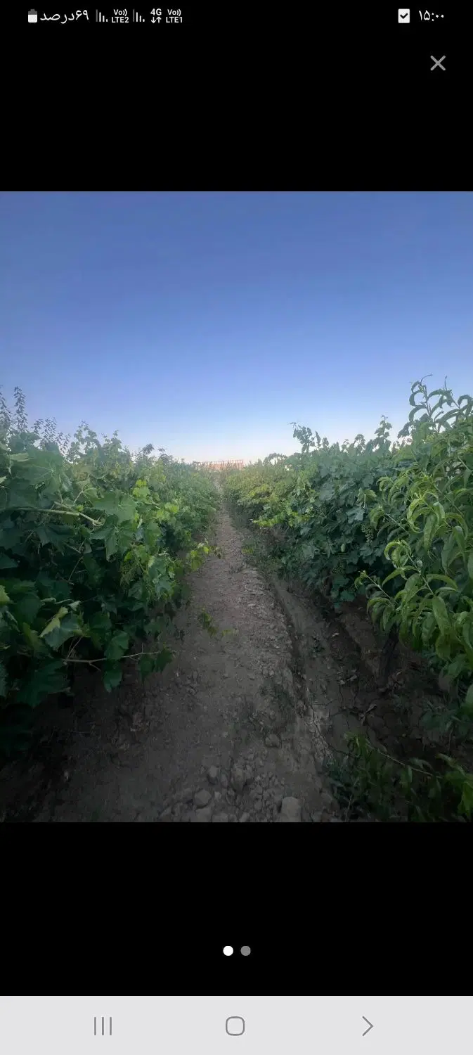 زمین باغی در جاده کلانتری