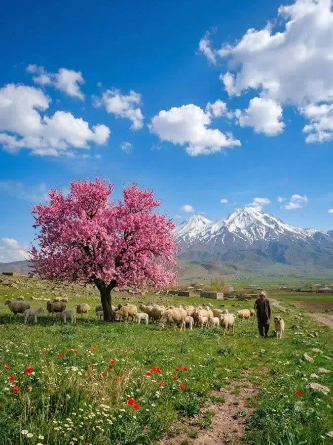 زمین شهرک کوثر