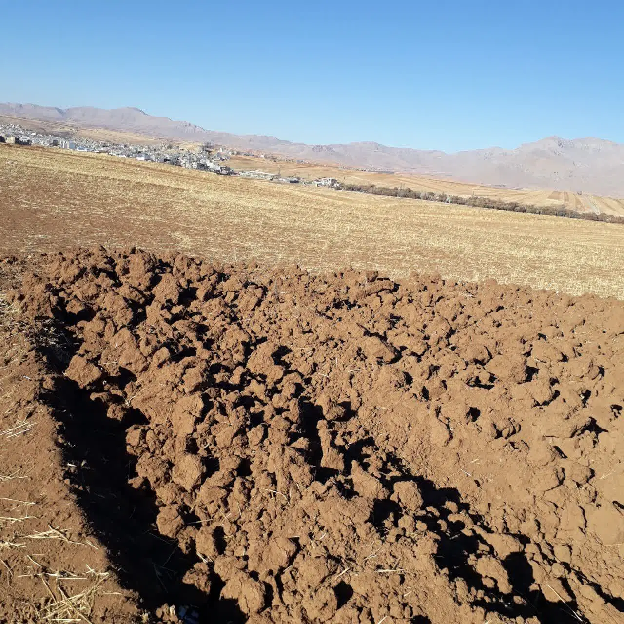 فروش زمین
