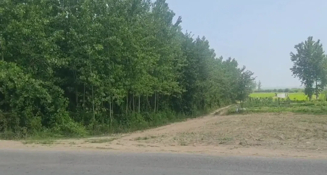 زمین زراعی بهترین محصول