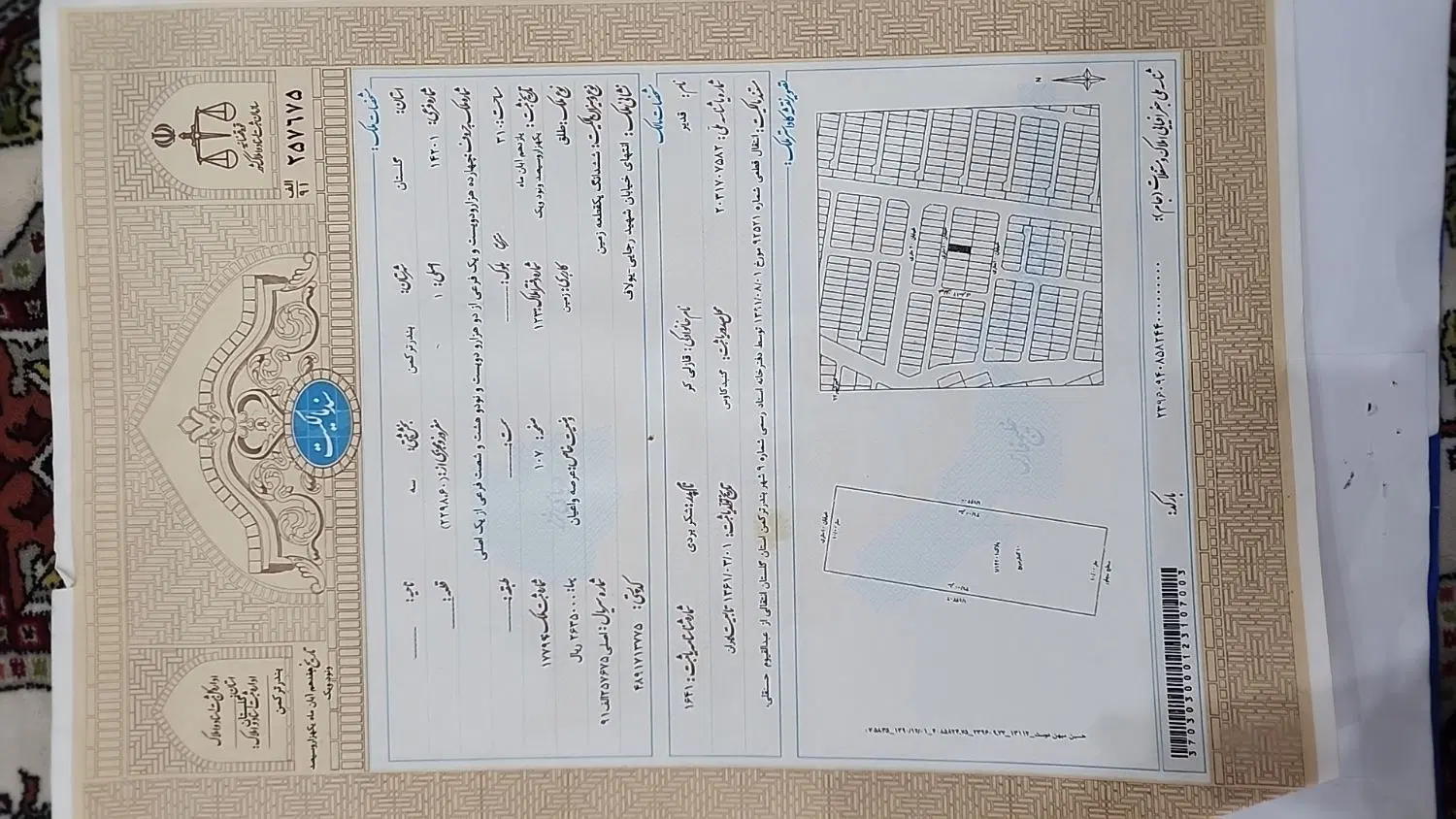 ۳۱۰ متر زمین یولاف بندرترکمن