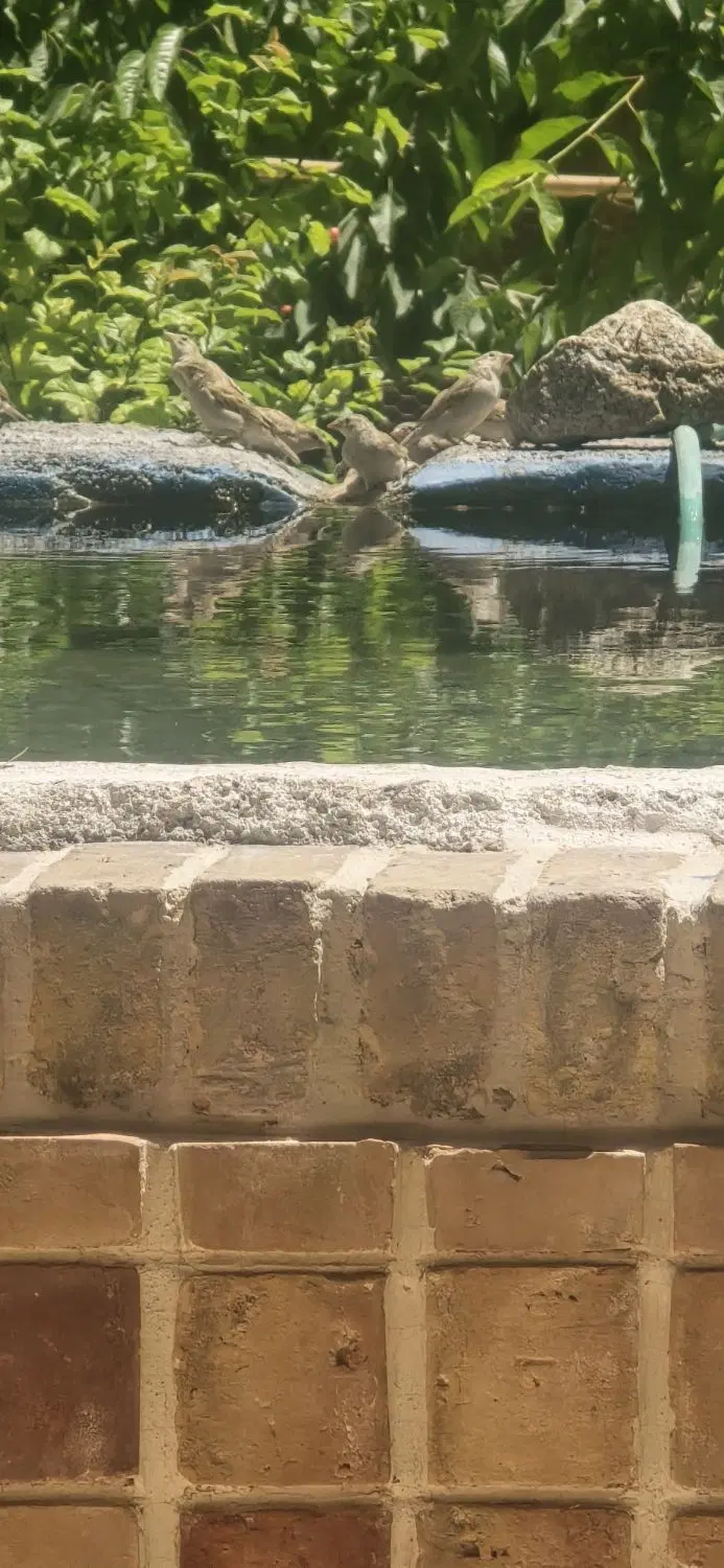 سانیج منزل خانه باغ نوساز سونیج با چاه آب و استخر