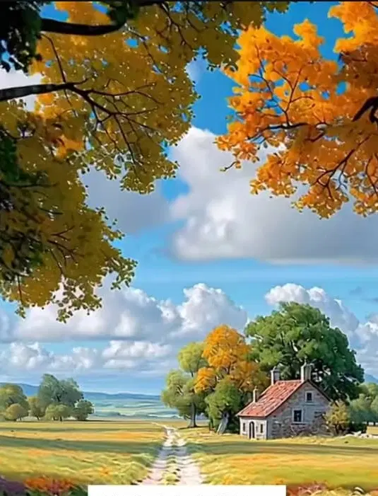 زمین مسکونی