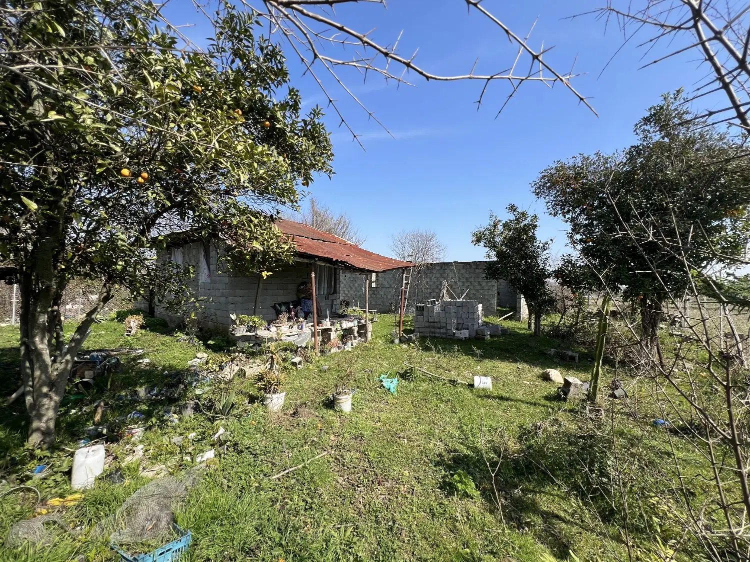 فروش زمین در ماسال روستای وردوم