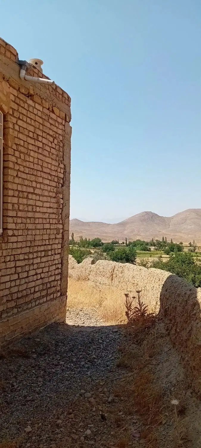ملک فروشی