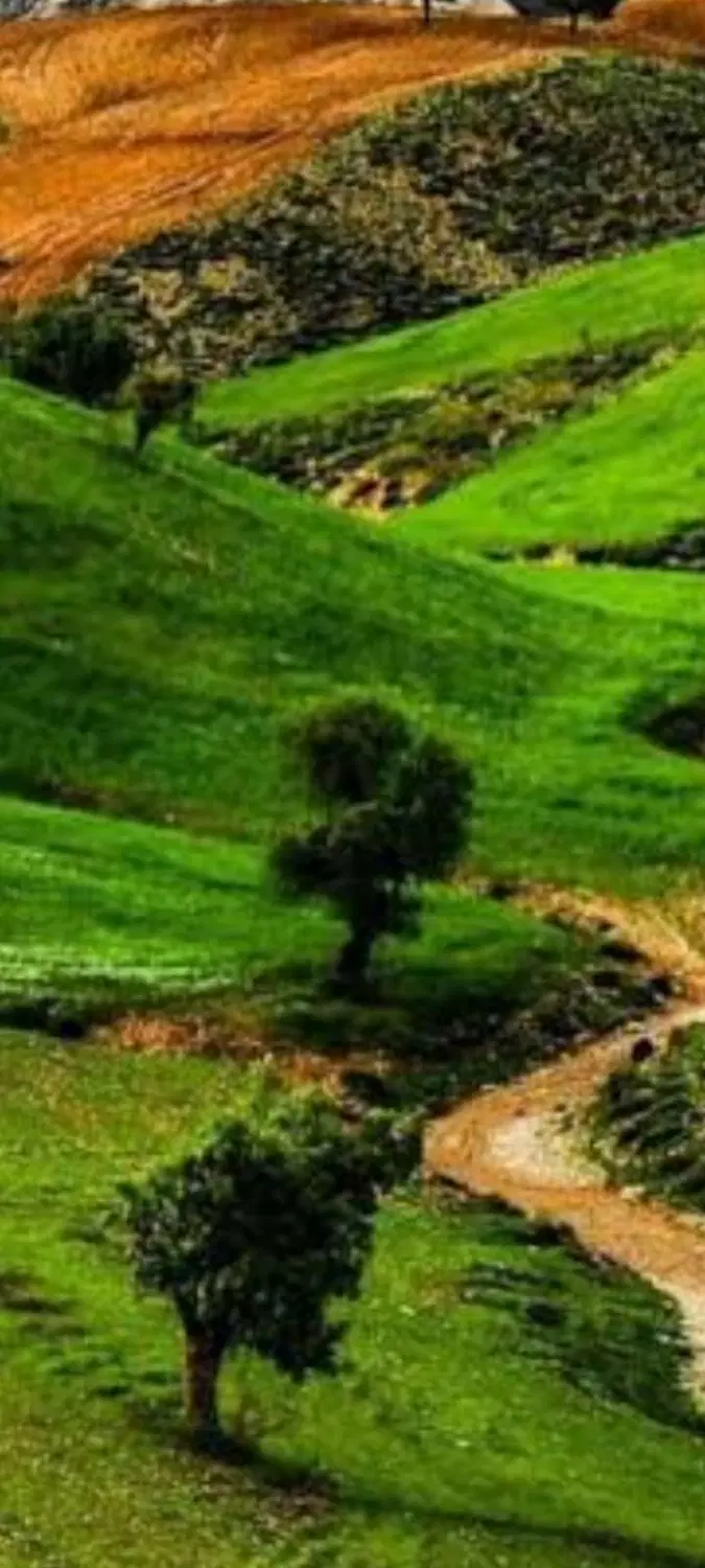 زمین مسکونی اپونه