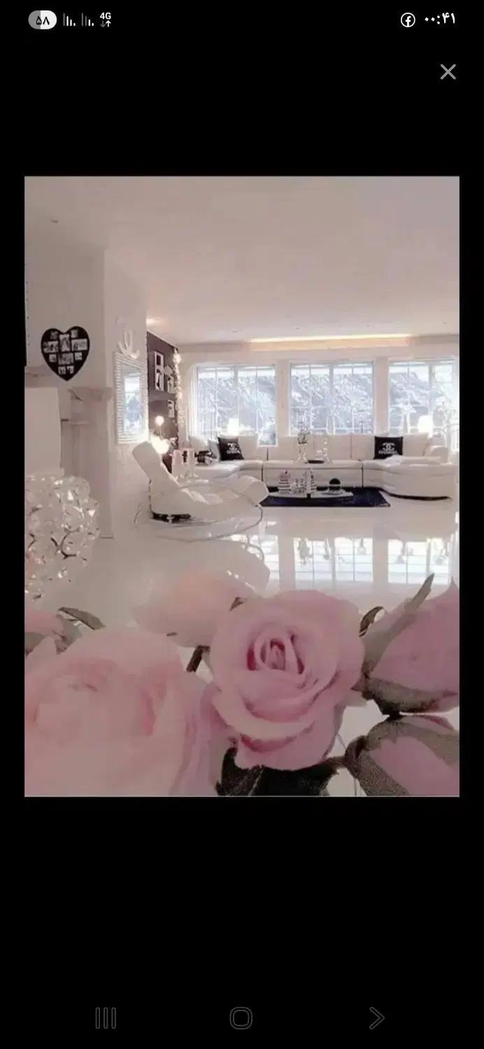 همخونه هم خانه