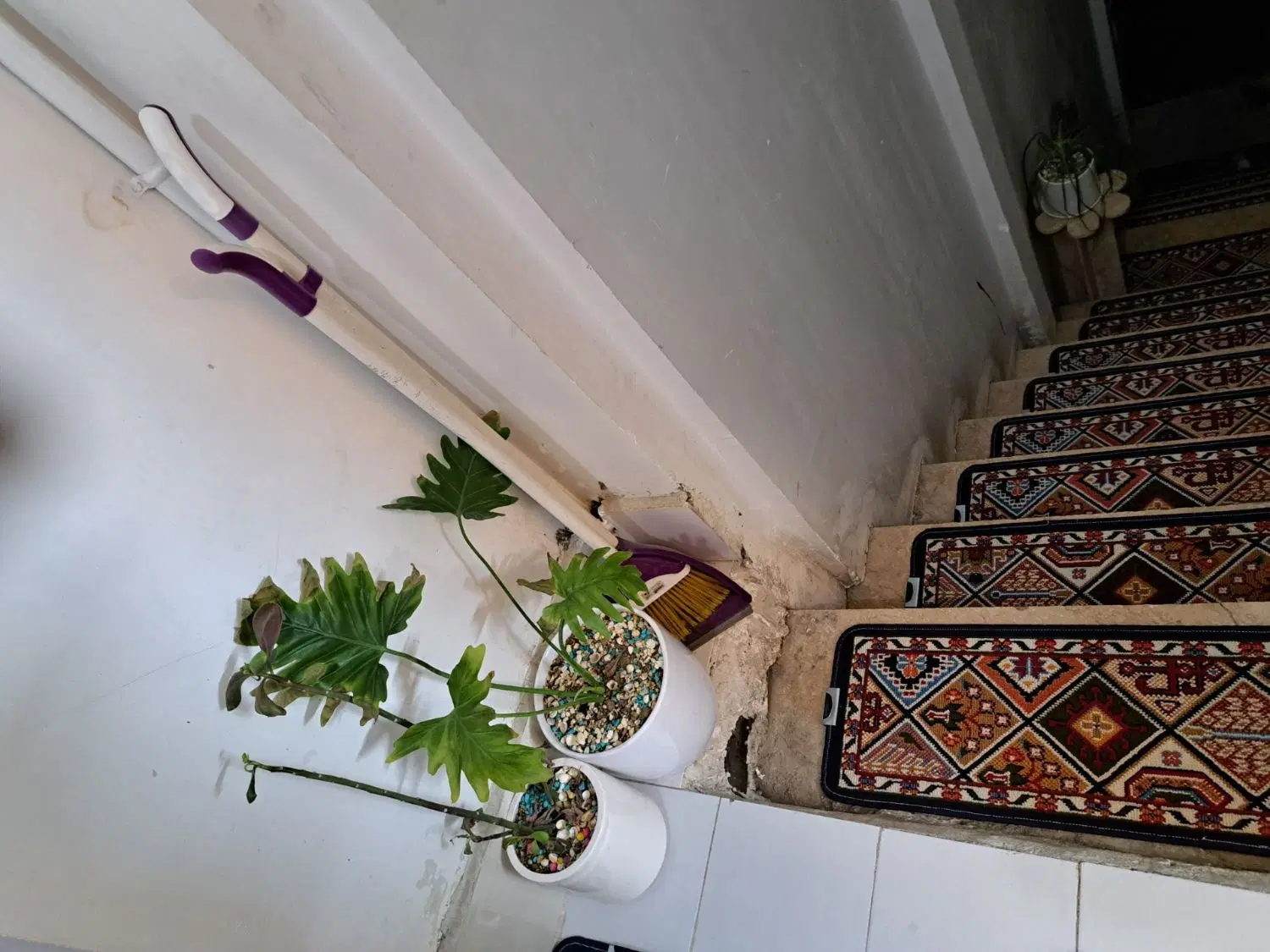 خونه دربست