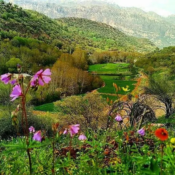زمین خام لب رود