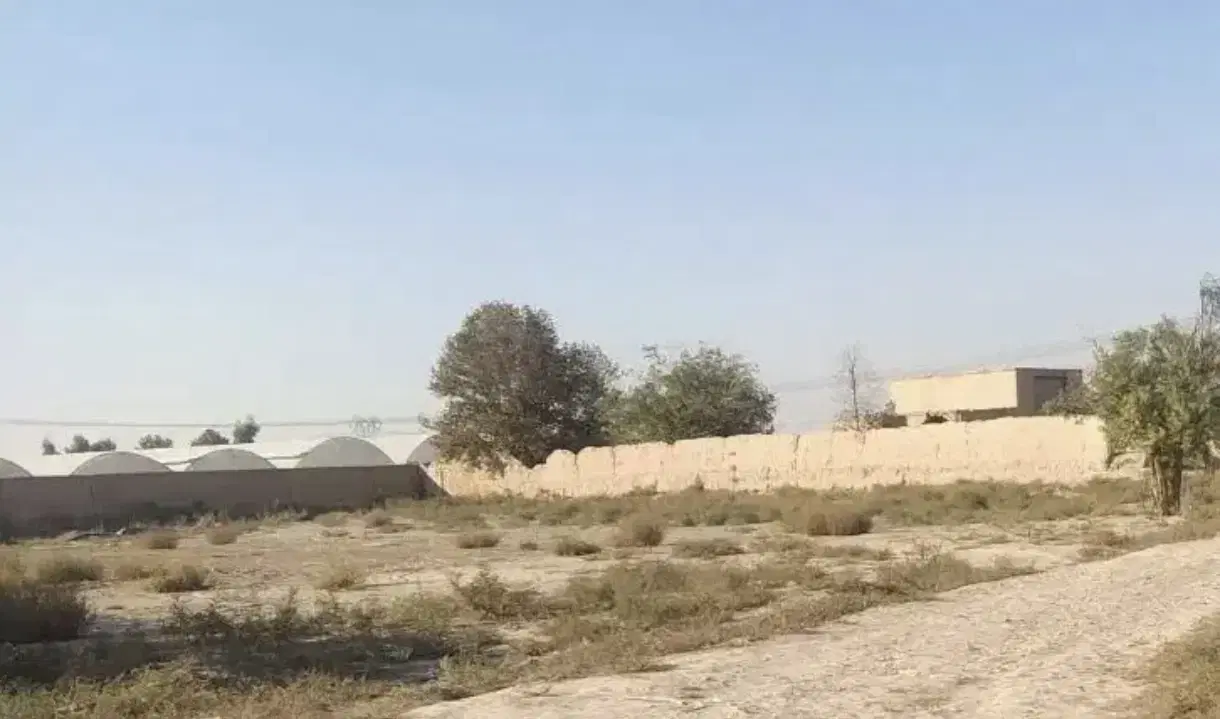 زمین ۱۰۰۰ متر جواد آباد(روستای تقی آباد شهرستان)
