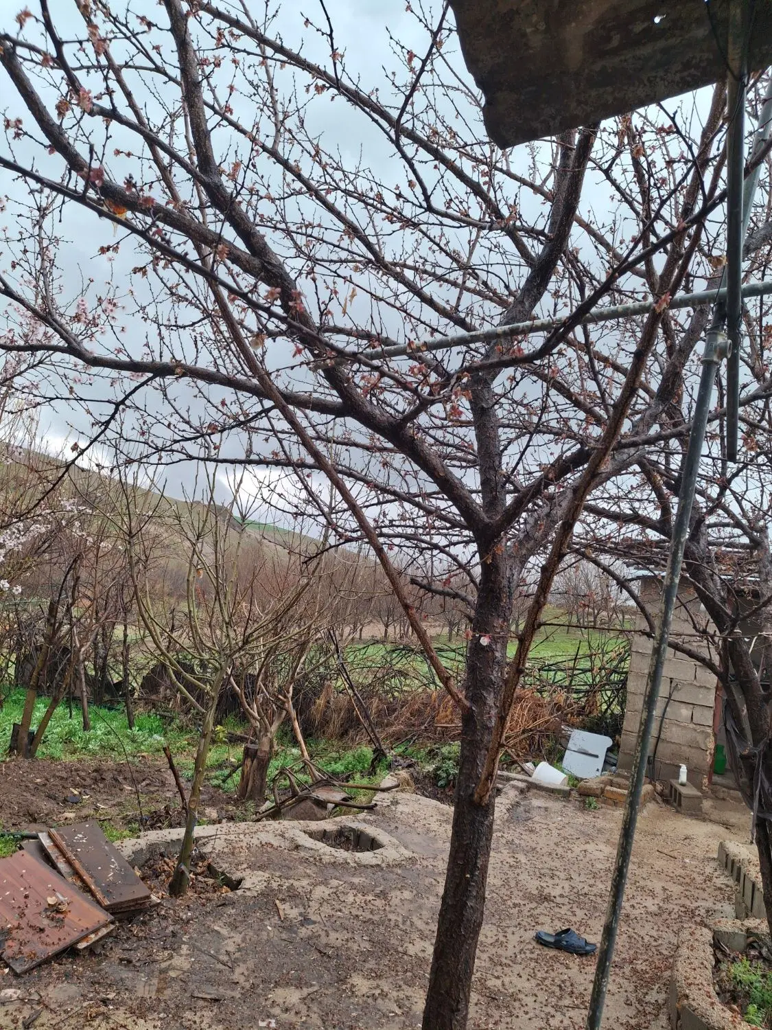 فروش باغ درروستای سراستان