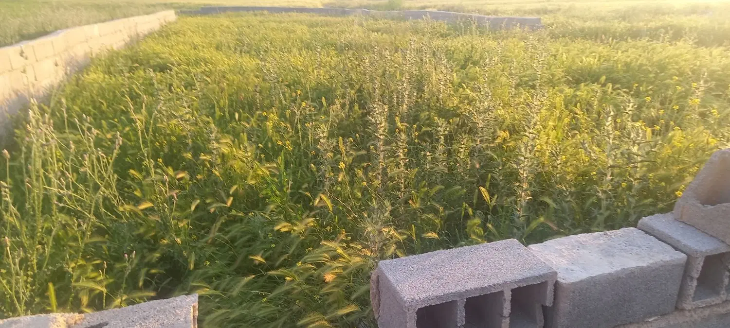 زمین فروشی