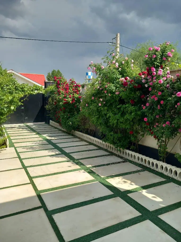 زمین ۲۴۰ متری داخل بافت با کاربری مسکونی