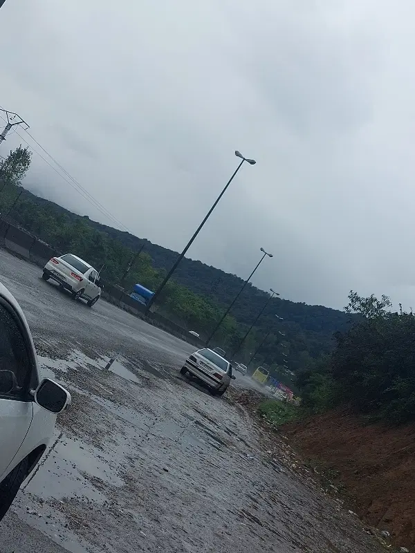 همخونه میشم