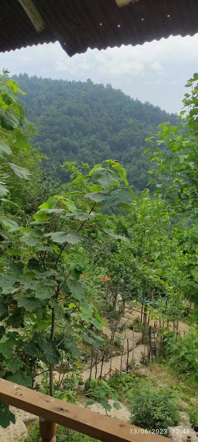 خانه کوهستانی سباهمزگی