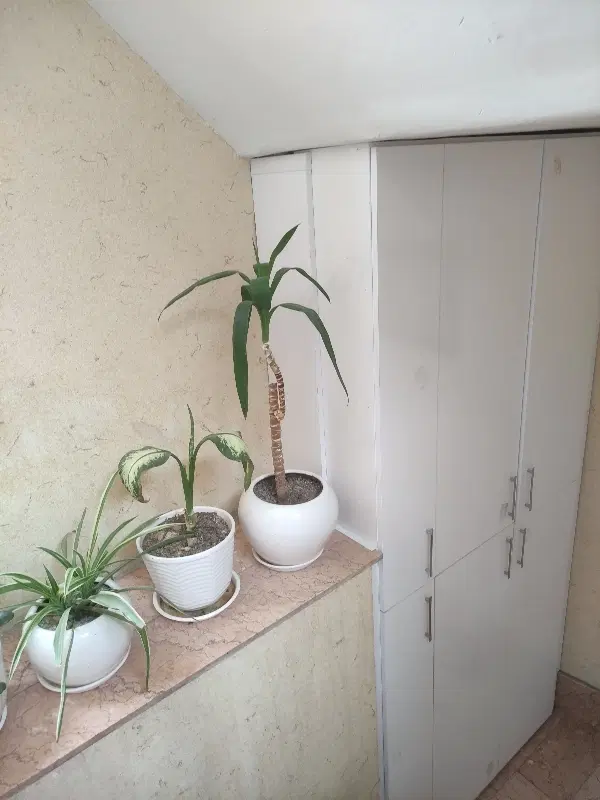 رهن و اجاره