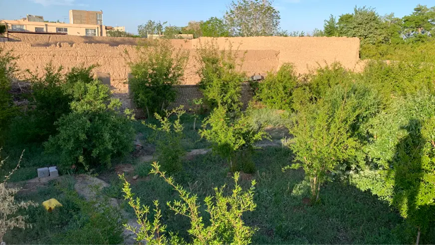 باغ دنج در شهرستان مهریز