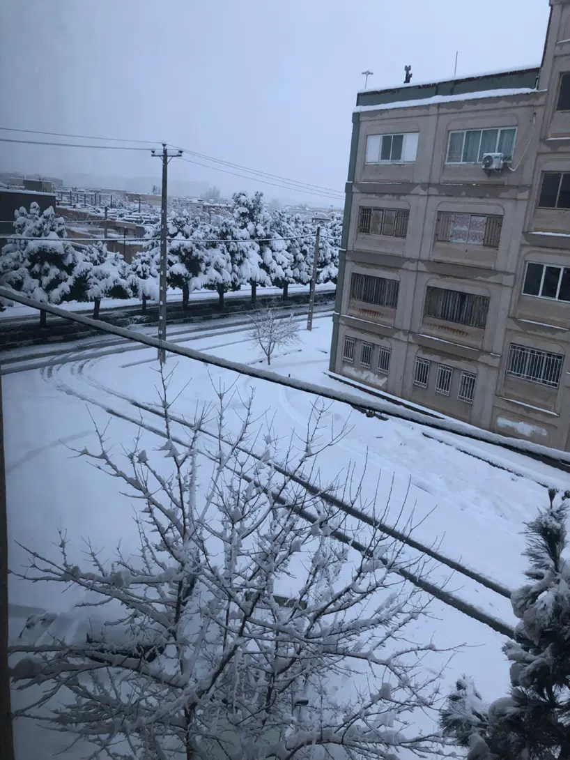 همخونه میخام