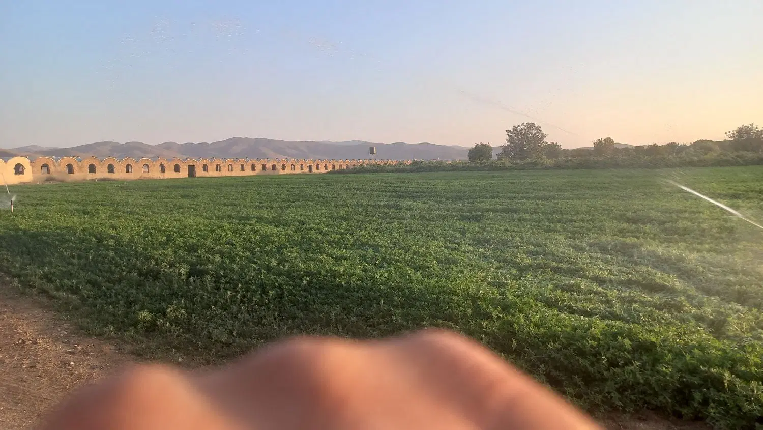 باغ انگوری نمازگاه باغ درختی ویلا در نمازگاه