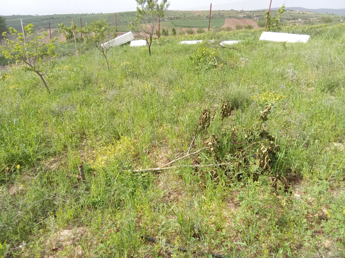 زمین روستای زوارم