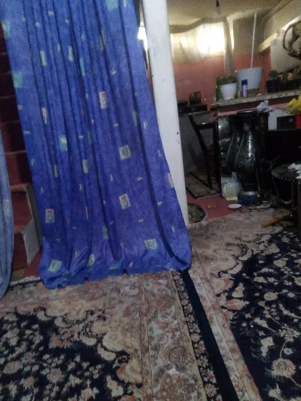 هم خانه
