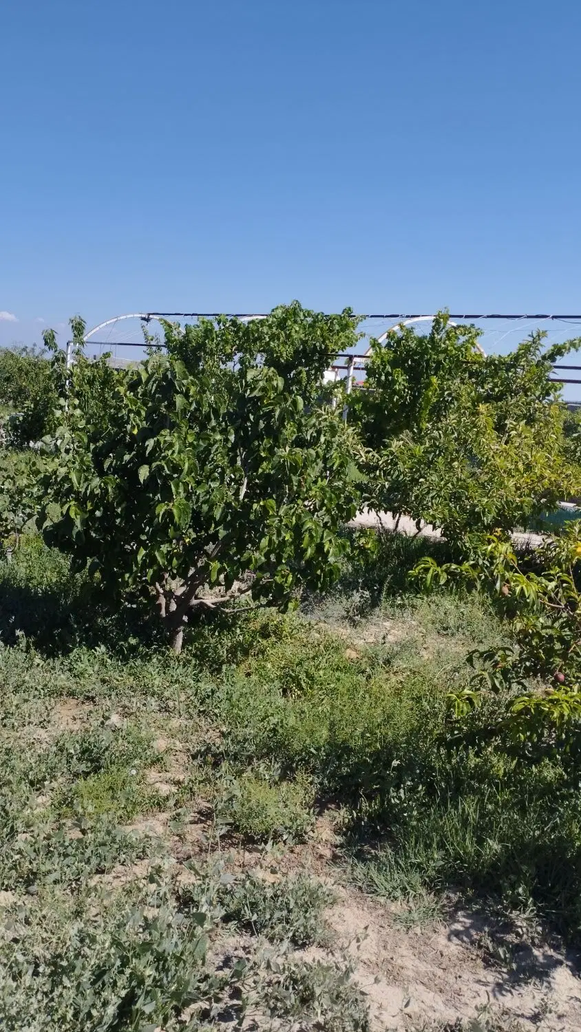 باغ ویلایی وایقان