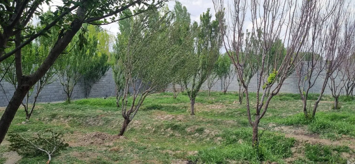 زمین باغ چهار دیواری